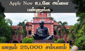 Anna University Technical Job post